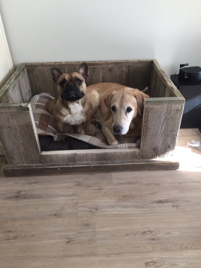 Best friends Max en Boris in mand