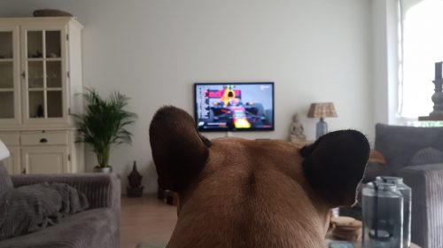Max fan van Verstappen Formule 1